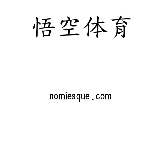 深圳市悟空体育电子有限公司官网